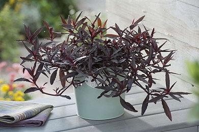 超越致敬！《指令8020》灵感来源电影 机制独具一格