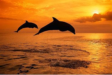 科隆：韩国动作射击《第一后裔》公开全新预告