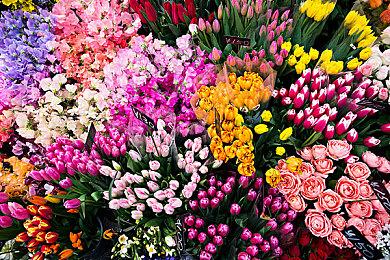 日本一公开新作《夜廻三》最新宣传片 游戏4月21日发售